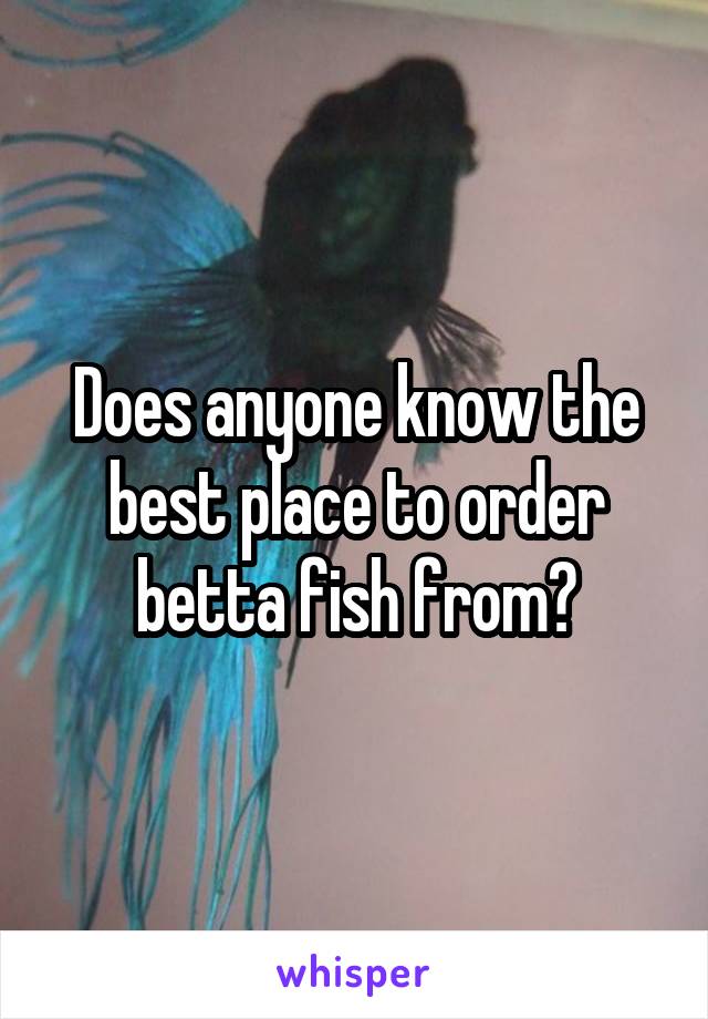 Does anyone know the best place to order betta fish from?