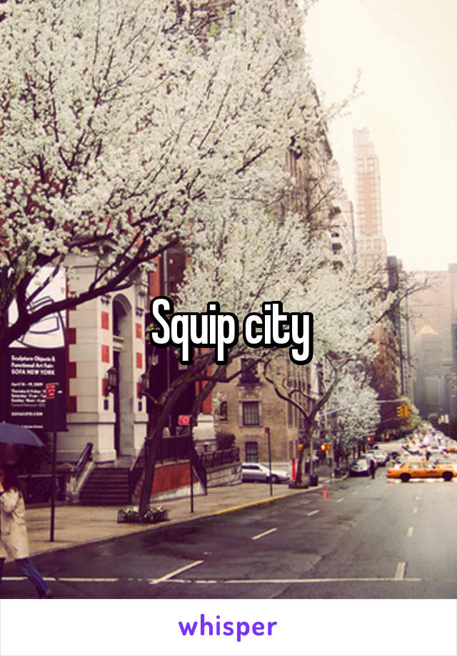 Squip city