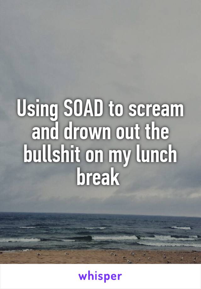 Using SOAD to scream and drown out the bullshit on my lunch break 