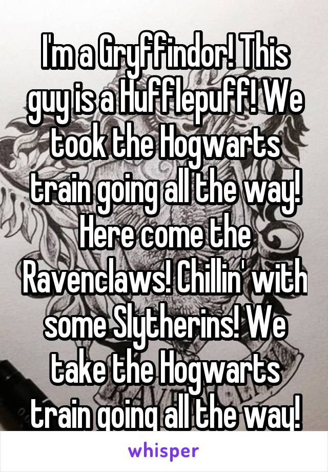 I'm a Gryffindor! This guy is a Hufflepuff! We took the Hogwarts train going all the way! Here come the Ravenclaws! Chillin' with some Slytherins! We take the Hogwarts train going all the way!