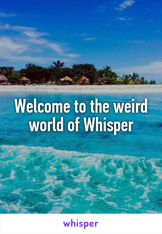 Welcome to the weird world of Whisper