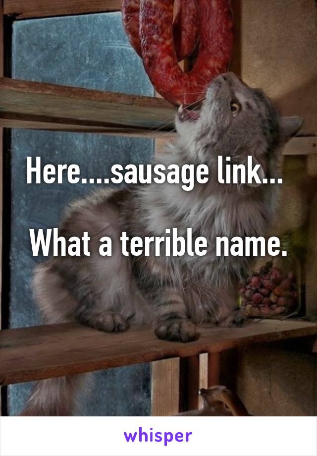 Here....sausage link... 

What a terrible name. 