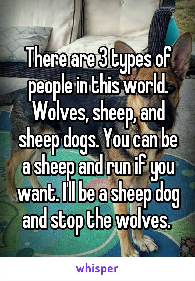 There are 3 types of people in this world. Wolves, sheep, and sheep dogs. You can be a sheep and run if you want. I'll be a sheep dog and stop the wolves. 