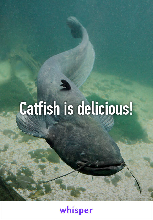 Catfish is delicious!