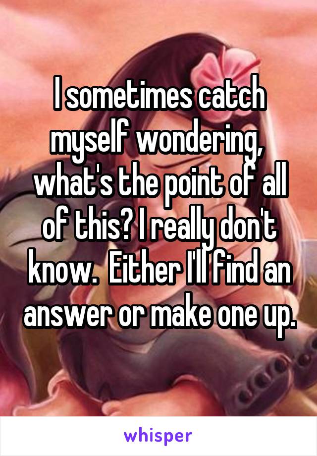 I sometimes catch myself wondering,  what's the point of all of this? I really don't know.  Either I'll find an answer or make one up.  