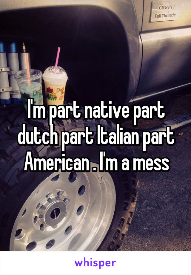 I'm part native part dutch part Italian part American . I'm a mess