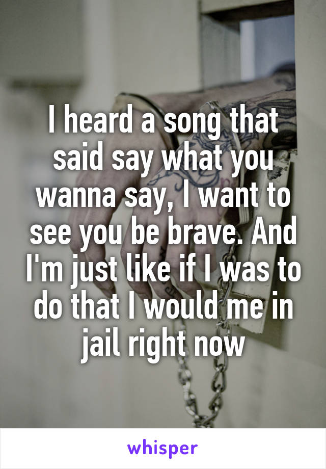 I heard a song that said say what you wanna say, I want to see you be brave. And I'm just like if I was to do that I would me in jail right now