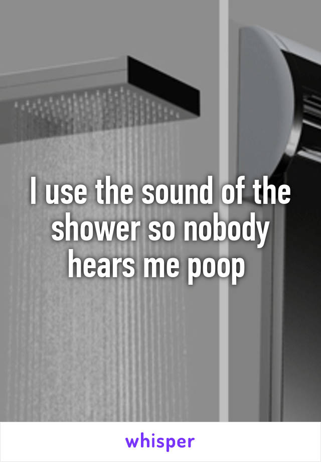 I use the sound of the shower so nobody hears me poop 