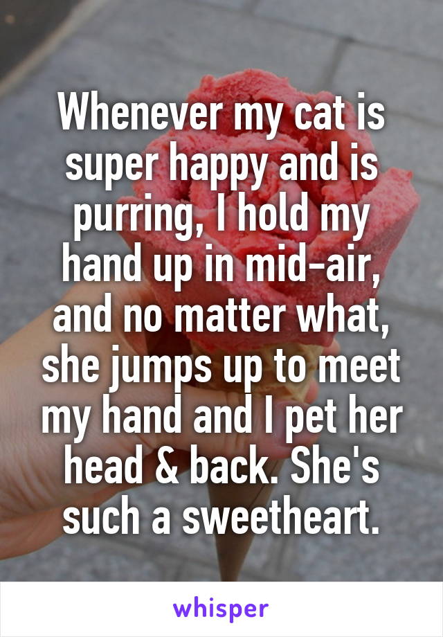 Whenever my cat is super happy and is purring, I hold my hand up in mid-air, and no matter what, she jumps up to meet my hand and I pet her head & back. She's such a sweetheart.