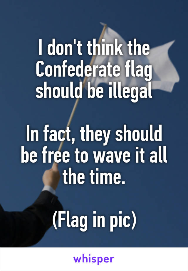 I don't think the Confederate flag should be illegal

In fact, they should be free to wave it all the time.

(Flag in pic)