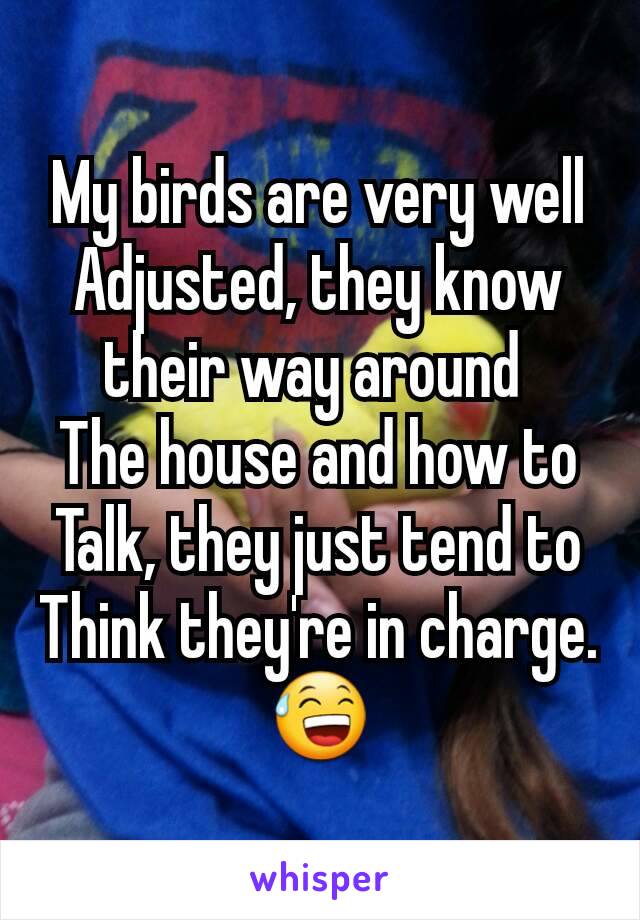 My birds are very well
Adjusted, they know their way around 
The house and how to
Talk, they just tend to
Think they're in charge.
😅