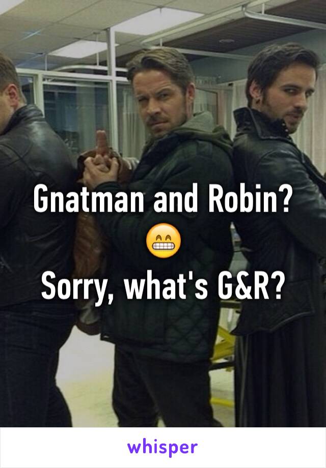 Gnatman and Robin? 😁
Sorry, what's G&R? 