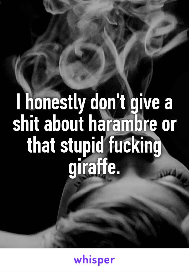 I honestly don't give a shit about harambre or that stupid fucking giraffe.