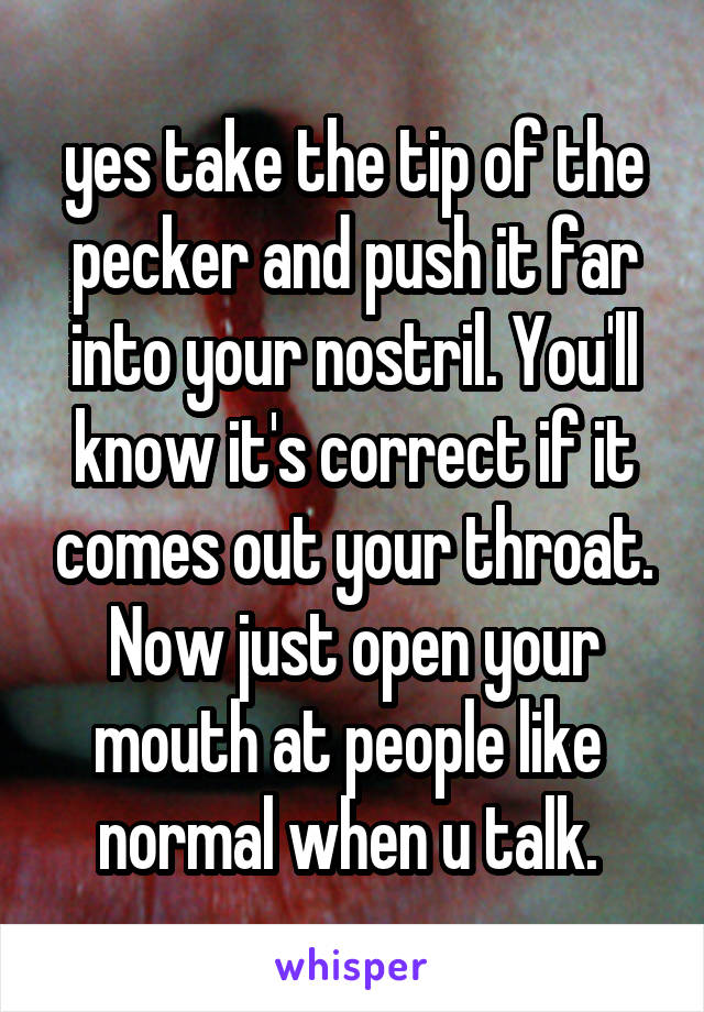 yes take the tip of the pecker and push it far into your nostril. You'll know it's correct if it comes out your throat. Now just open your mouth at people like  normal when u talk. 