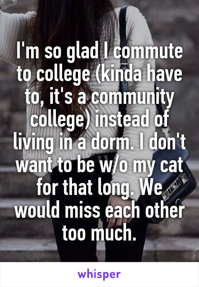 I'm so glad I commute to college (kinda have to, it's a community college) instead of living in a dorm. I don't want to be w/o my cat for that long. We would miss each other too much.