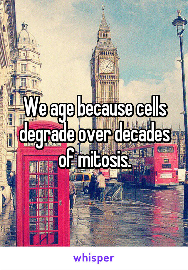 We age because cells degrade over decades of mitosis.