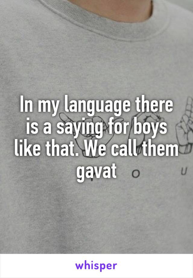 In my language there is a saying for boys like that. We call them gavat