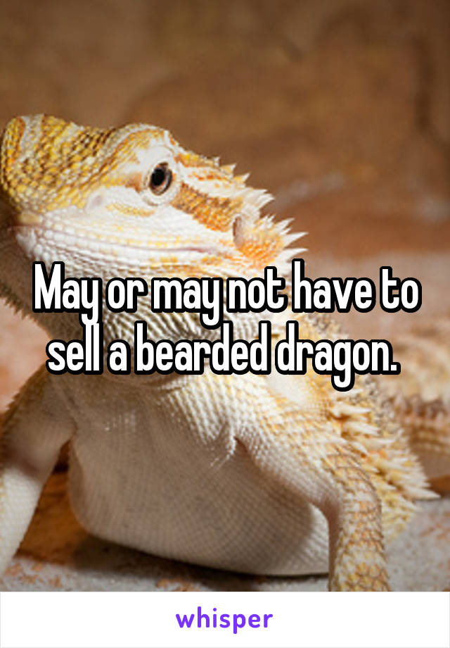 May or may not have to sell a bearded dragon. 