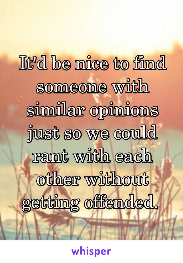 It'd be nice to find someone with similar opinions just so we could rant with each other without getting offended. 