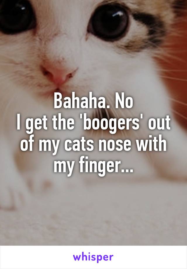 Bahaha. No
I get the 'boogers' out of my cats nose with my finger...