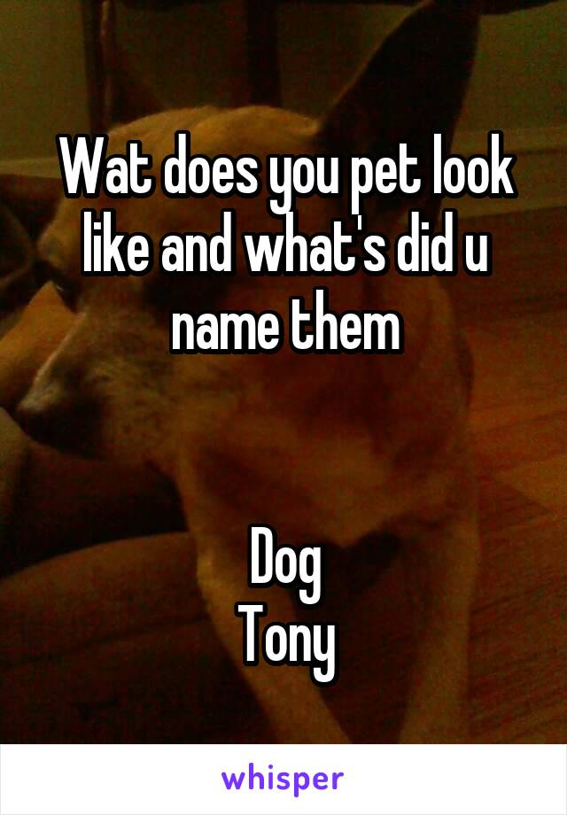 Wat does you pet look like and what's did u name them


Dog
Tony