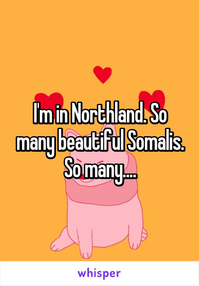 I'm in Northland. So many beautiful Somalis. So many....