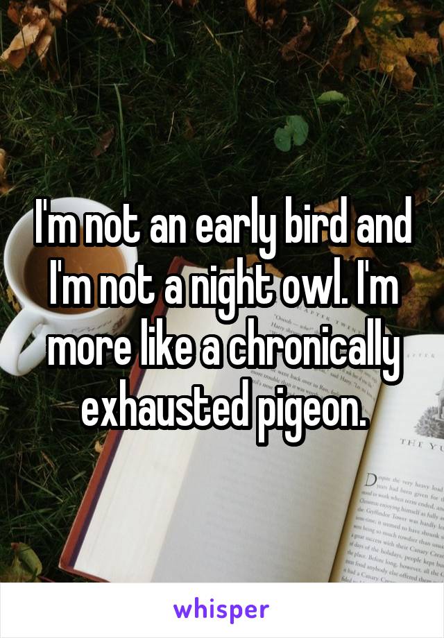 I'm not an early bird and I'm not a night owl. I'm more like a chronically exhausted pigeon.