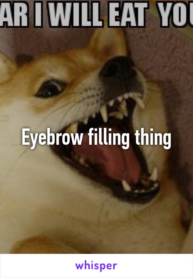 Eyebrow filling thing