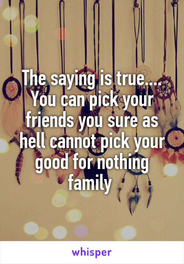 The saying is true.... You can pick your friends you sure as hell cannot pick your good for nothing family 