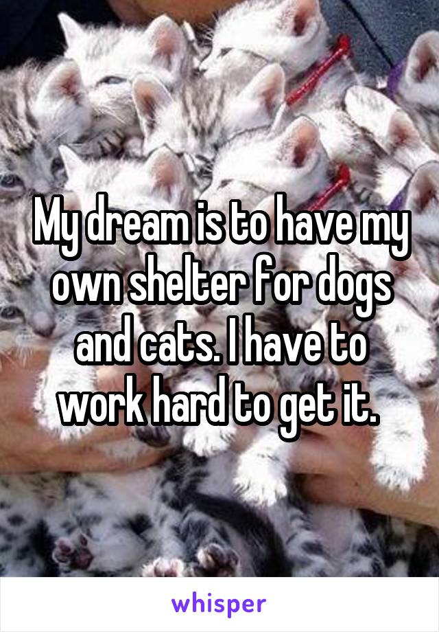 My dream is to have my own shelter for dogs and cats. I have to work hard to get it. 