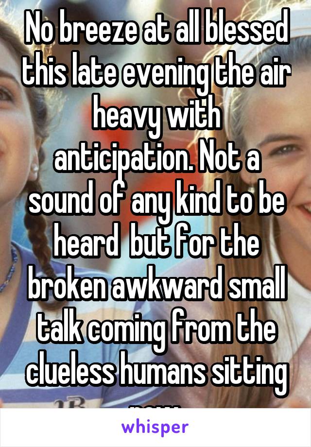 No breeze at all blessed this late evening the air heavy with anticipation. Not a sound of any kind to be heard  but for the broken awkward small talk coming from the clueless humans sitting now.