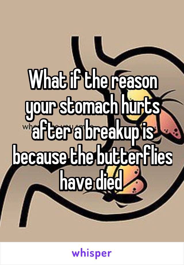 What if the reason your stomach hurts after a breakup is because the butterflies have died 