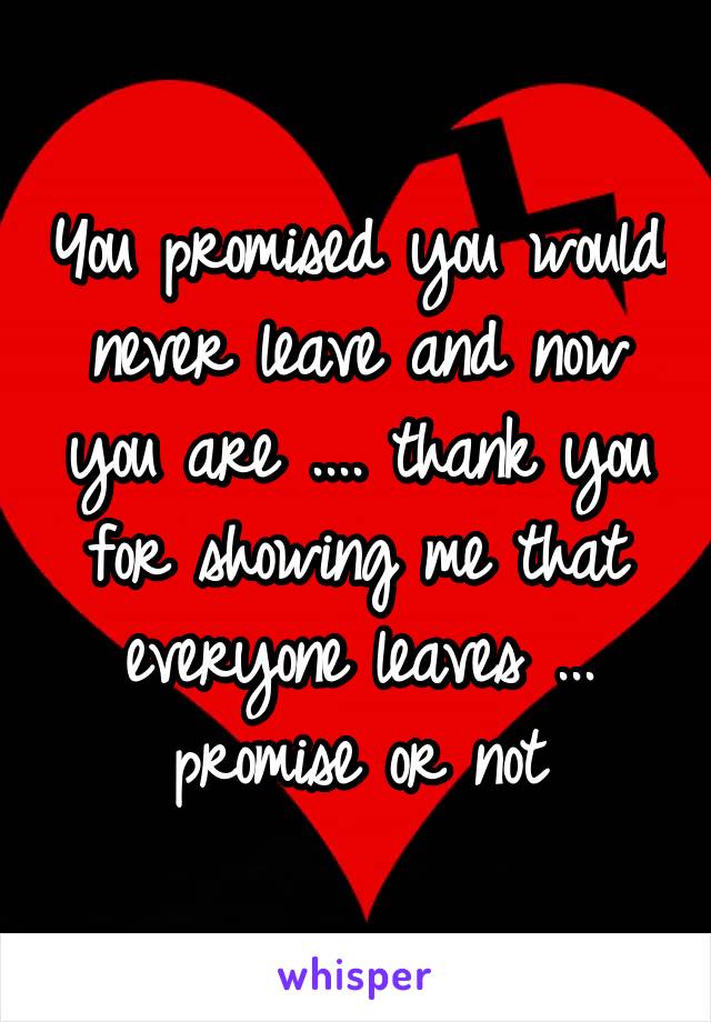 You promised you would never leave and now you are .... thank you for showing me that everyone leaves ... promise or not