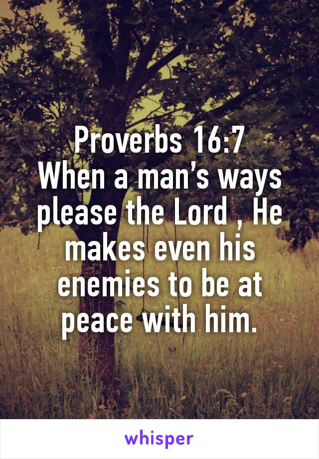 Proverbs 16:7
When a man’s ways please the Lord , He makes even his enemies to be at peace with him.