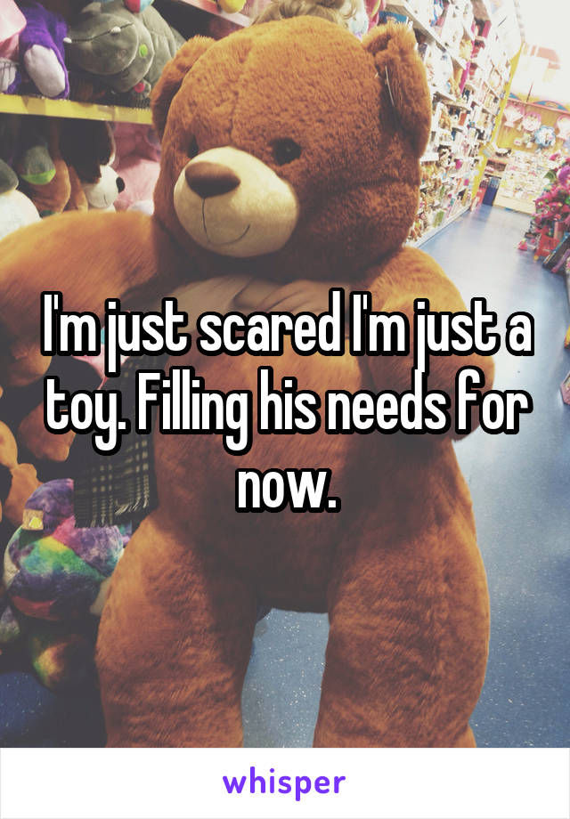 I'm just scared I'm just a toy. Filling his needs for now.