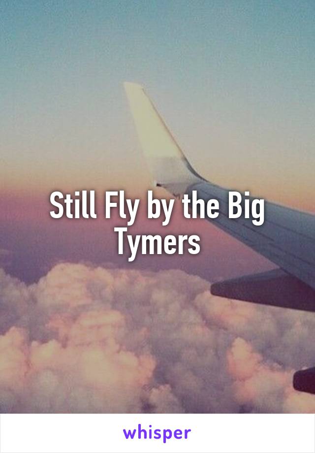 Still Fly by the Big Tymers