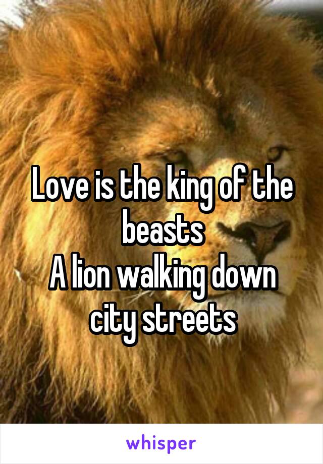 
Love is the king of the beasts
A lion walking down city streets