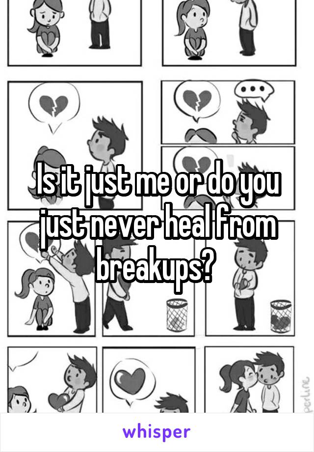 Is it just me or do you just never heal from breakups? 