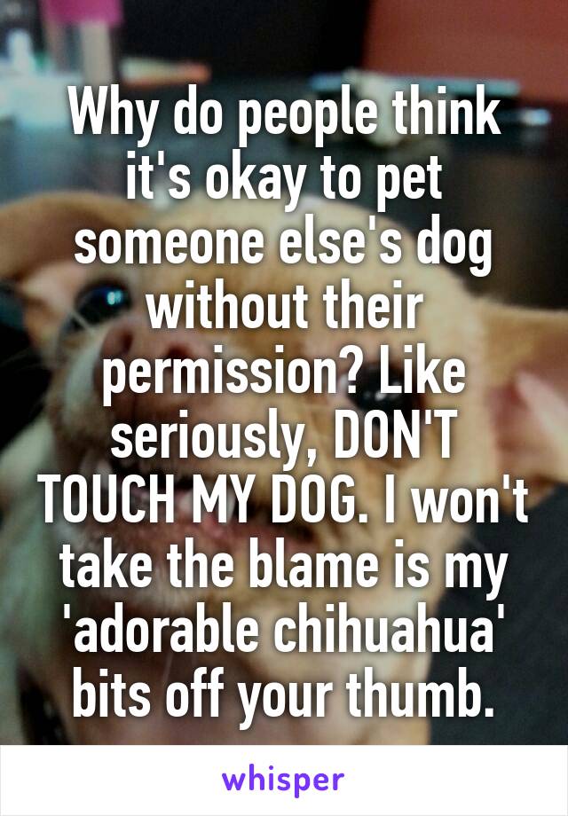 Why do people think it's okay to pet someone else's dog without their permission? Like seriously, DON'T TOUCH MY DOG. I won't take the blame is my 'adorable chihuahua' bits off your thumb.