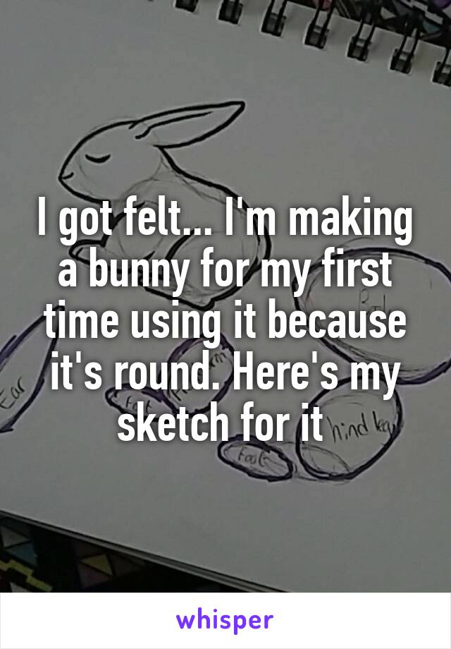 I got felt... I'm making a bunny for my first time using it because it's round. Here's my sketch for it 