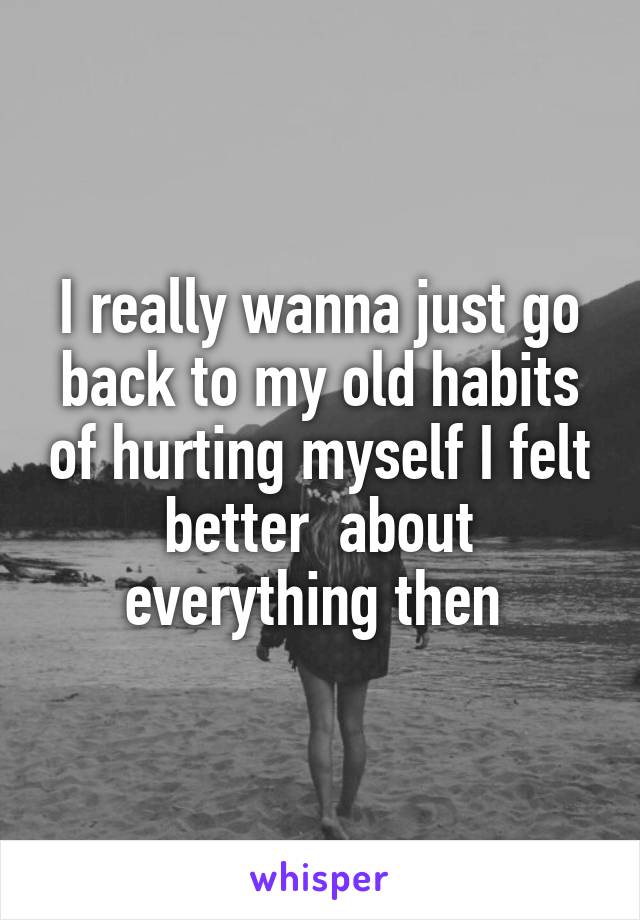 I really wanna just go back to my old habits of hurting myself I felt better  about everything then 