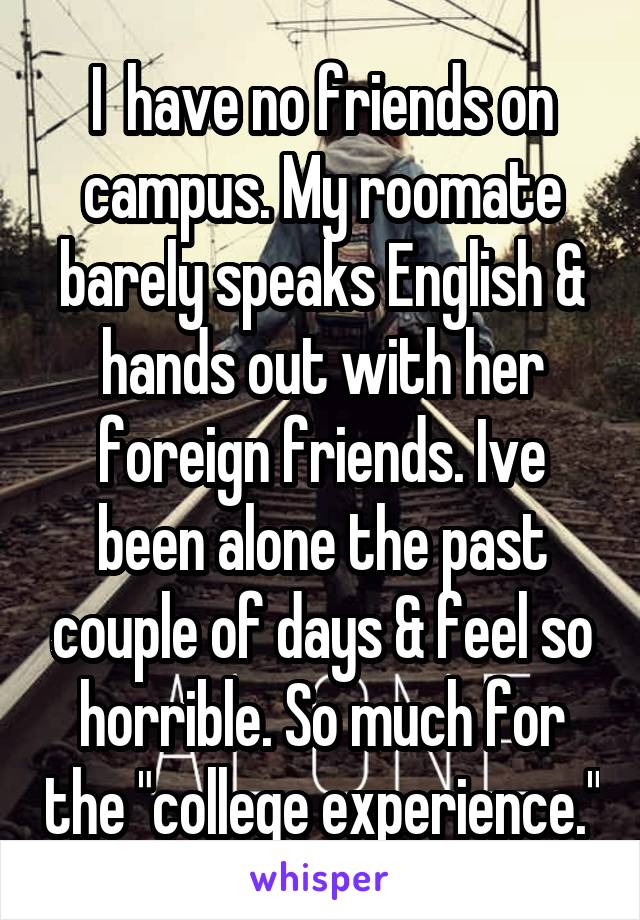 I  have no friends on campus. My roomate barely speaks English & hands out with her foreign friends. Ive been alone the past couple of days & feel so horrible. So much for the "college experience."