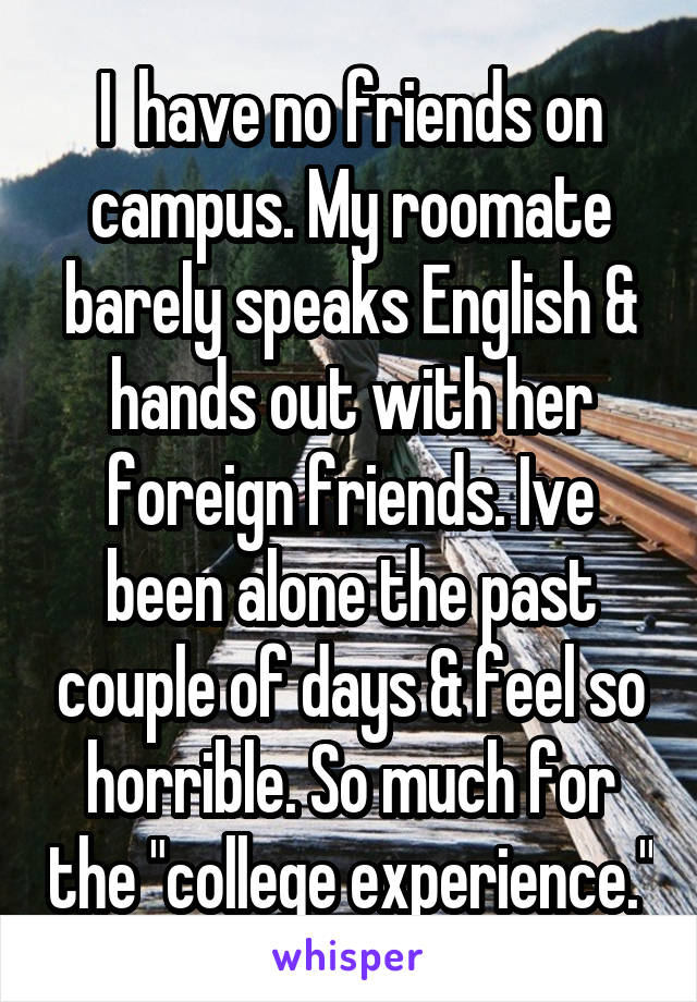 I  have no friends on campus. My roomate barely speaks English & hands out with her foreign friends. Ive been alone the past couple of days & feel so horrible. So much for the "college experience."