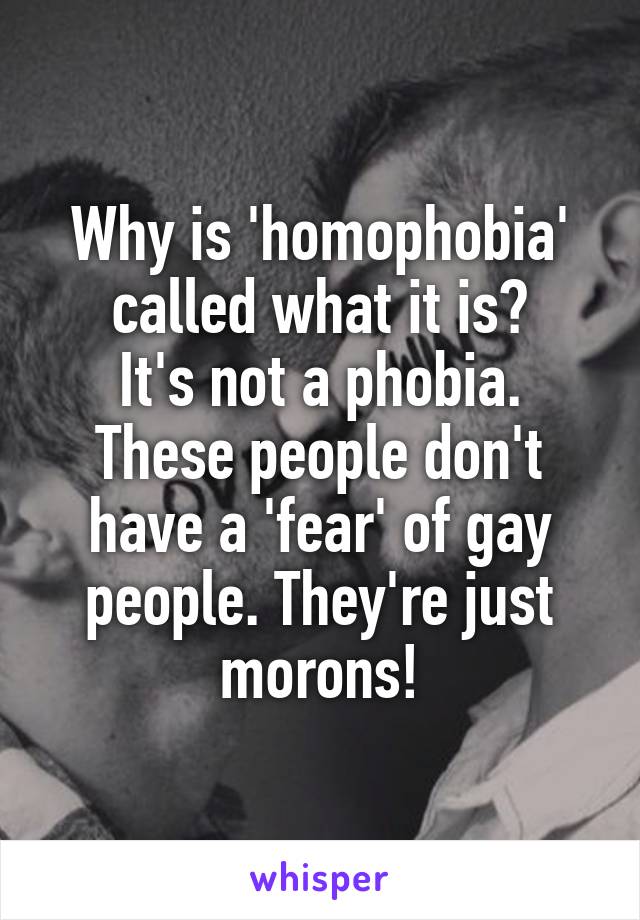 Why is 'homophobia' called what it is?
It's not a phobia. These people don't have a 'fear' of gay people. They're just morons!