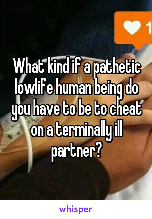 What kind if a pathetic lowlife human being do you have to be to cheat on a terminally ill partner?