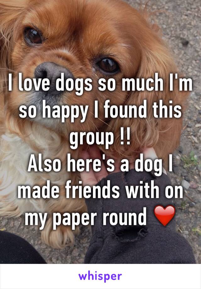 I love dogs so much I'm so happy I found this group !! 
Also here's a dog I made friends with on my paper round ❤️