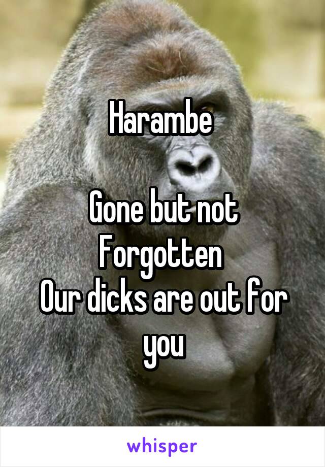 Harambe 

Gone but not Forgotten 
Our dicks are out for you