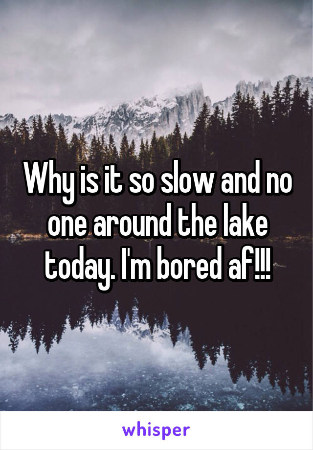 Why is it so slow and no one around the lake today. I'm bored af!!!