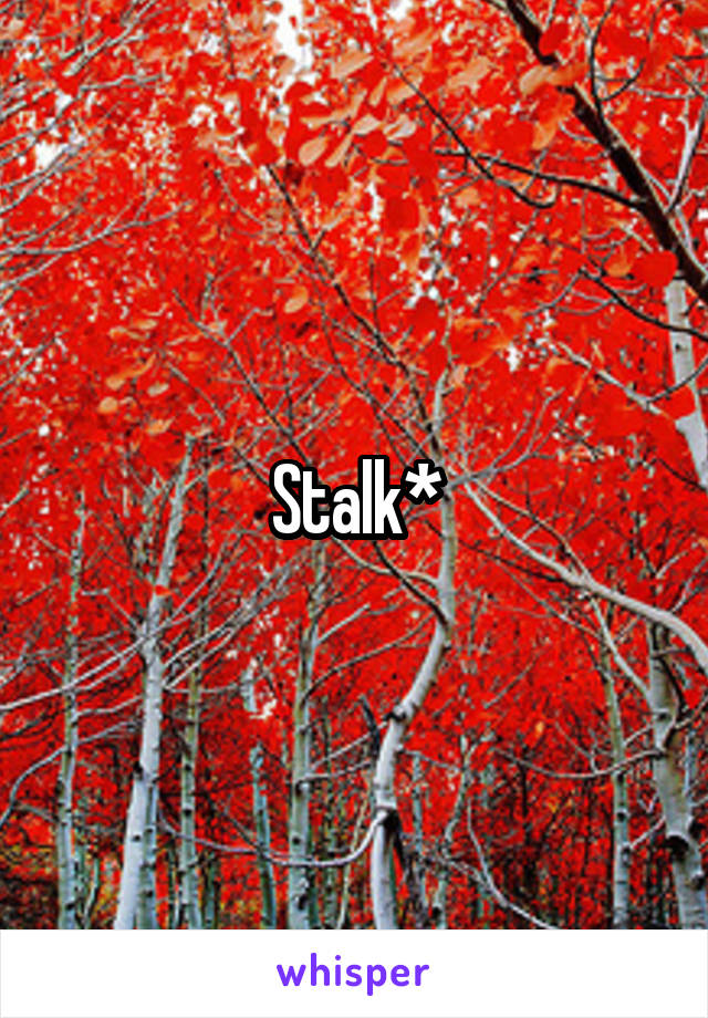 Stalk*