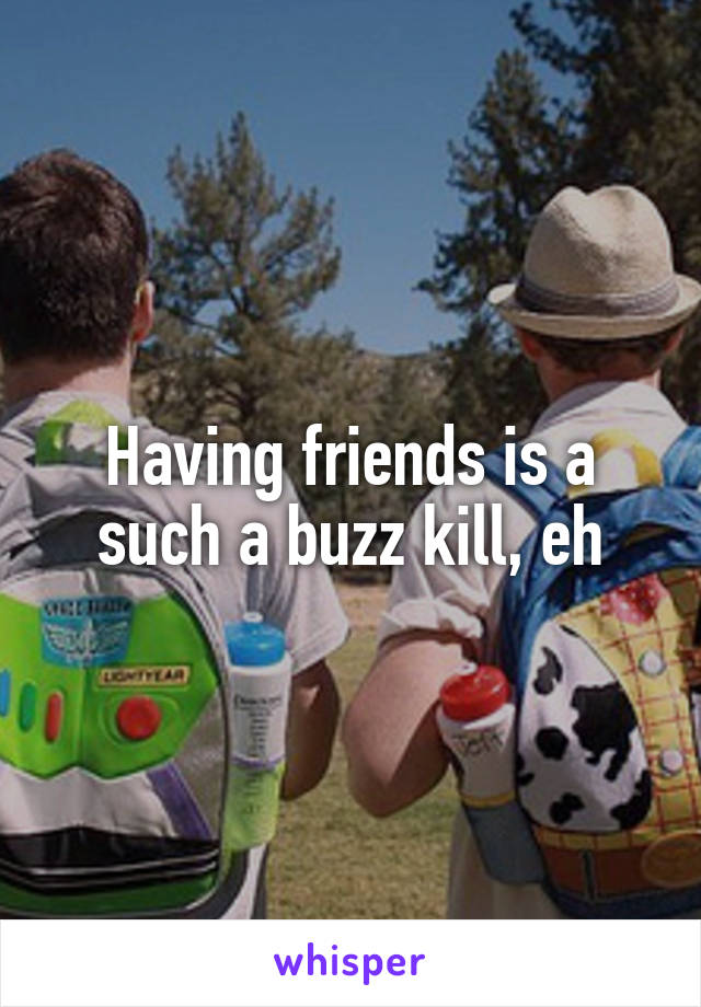 Having friends is a such a buzz kill, eh